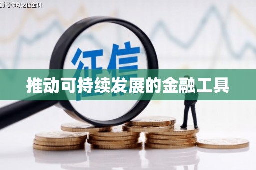 文圣推动可持续发展的金融工具