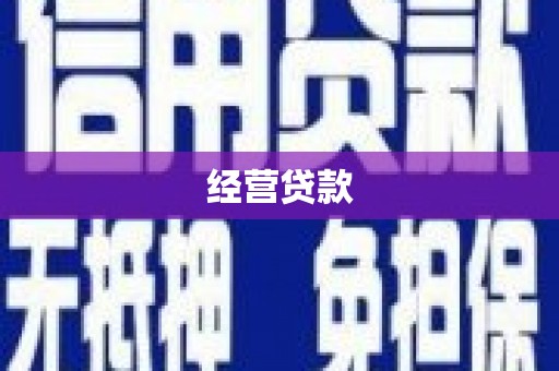 文圣经营贷款