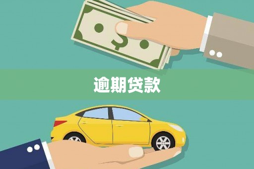 文圣逾期贷款