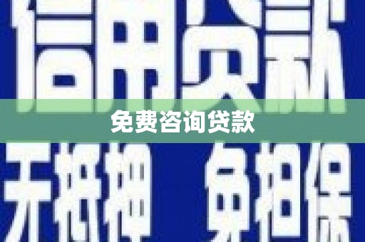 文圣免费咨询贷款