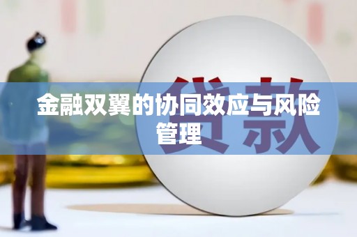 文圣金融双翼的协同效应与风险管理