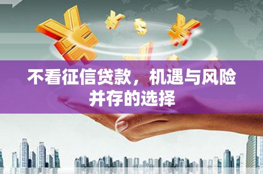 文圣不看征信贷款，机遇与风险并存的选择