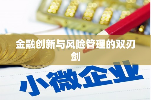 文圣金融创新与风险管理的双刃剑