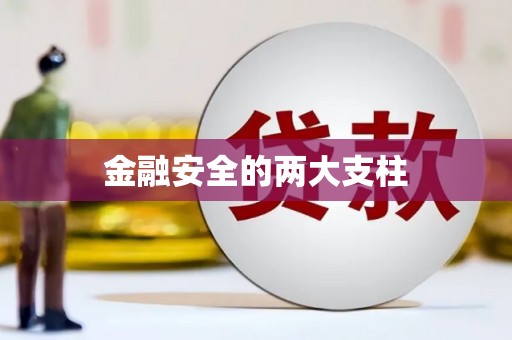 文圣金融安全的两大支柱