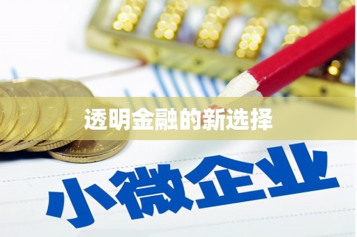 文圣透明金融的新选择