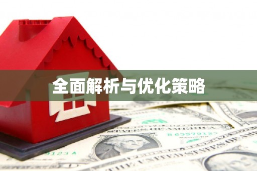 文圣全面解析与优化策略