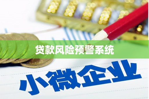 文圣贷款风险预警系统