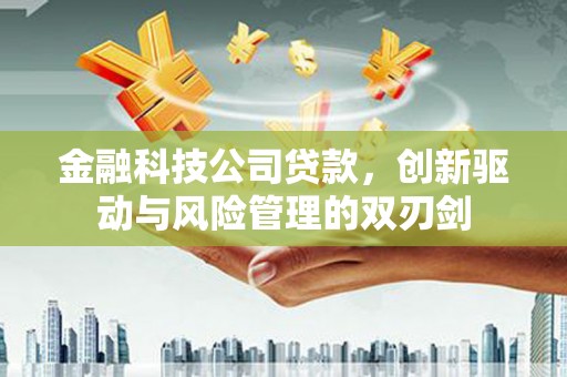 文圣金融科技公司贷款，创新驱动与风险管理的双刃剑